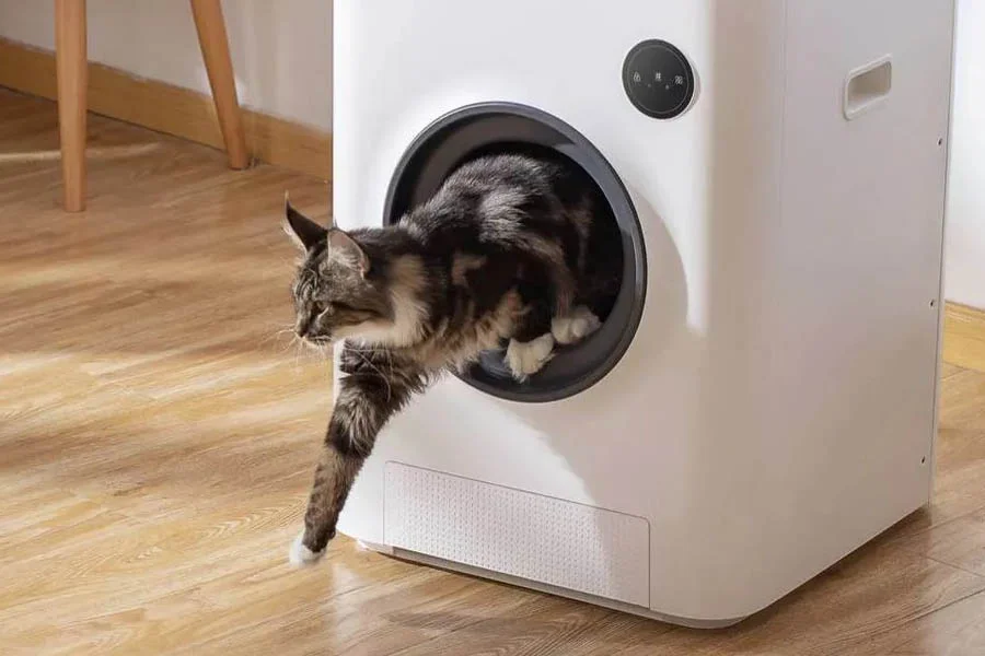 scoopfree self cleaning litter box